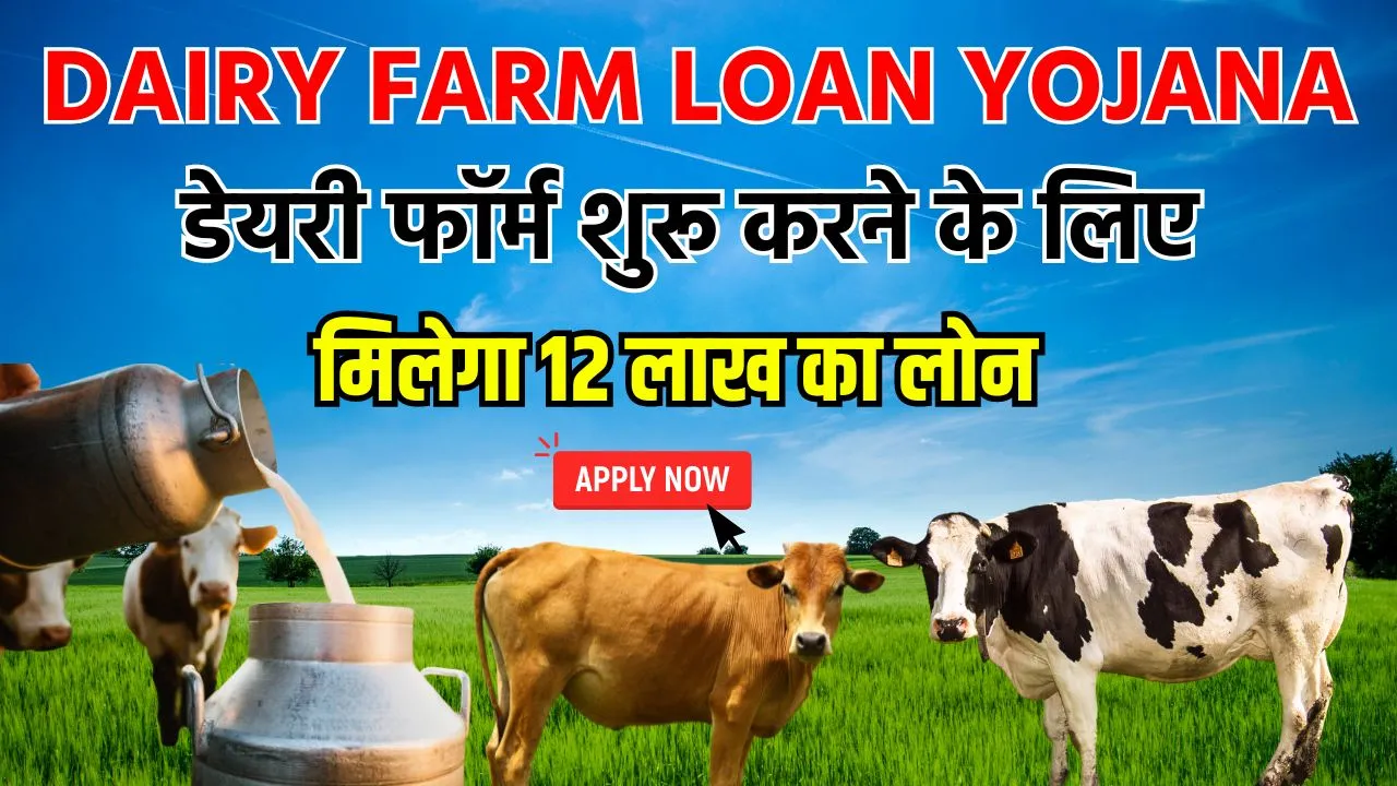 Dairy Farm Loan Online Apply